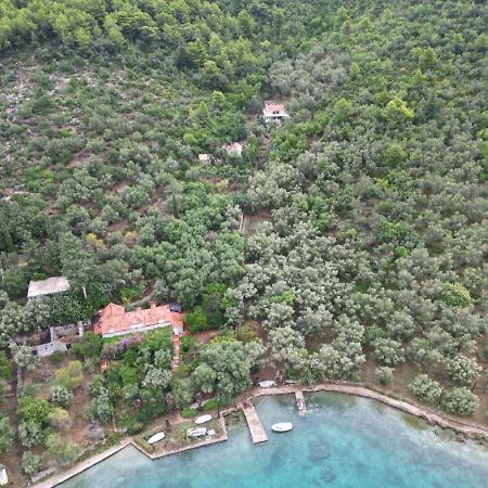 Apartment Kod Jadranke Šipanska Luka Εξωτερικό φωτογραφία