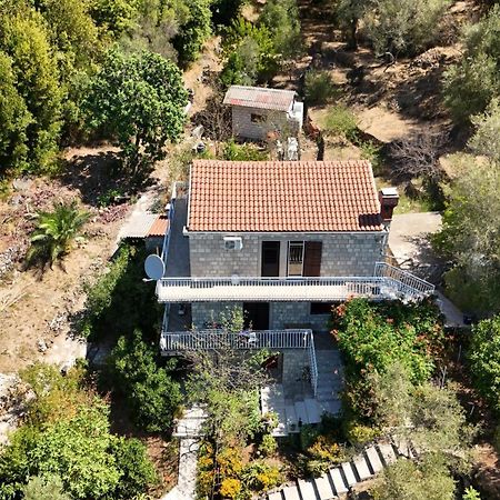 Apartment Kod Jadranke Šipanska Luka Εξωτερικό φωτογραφία