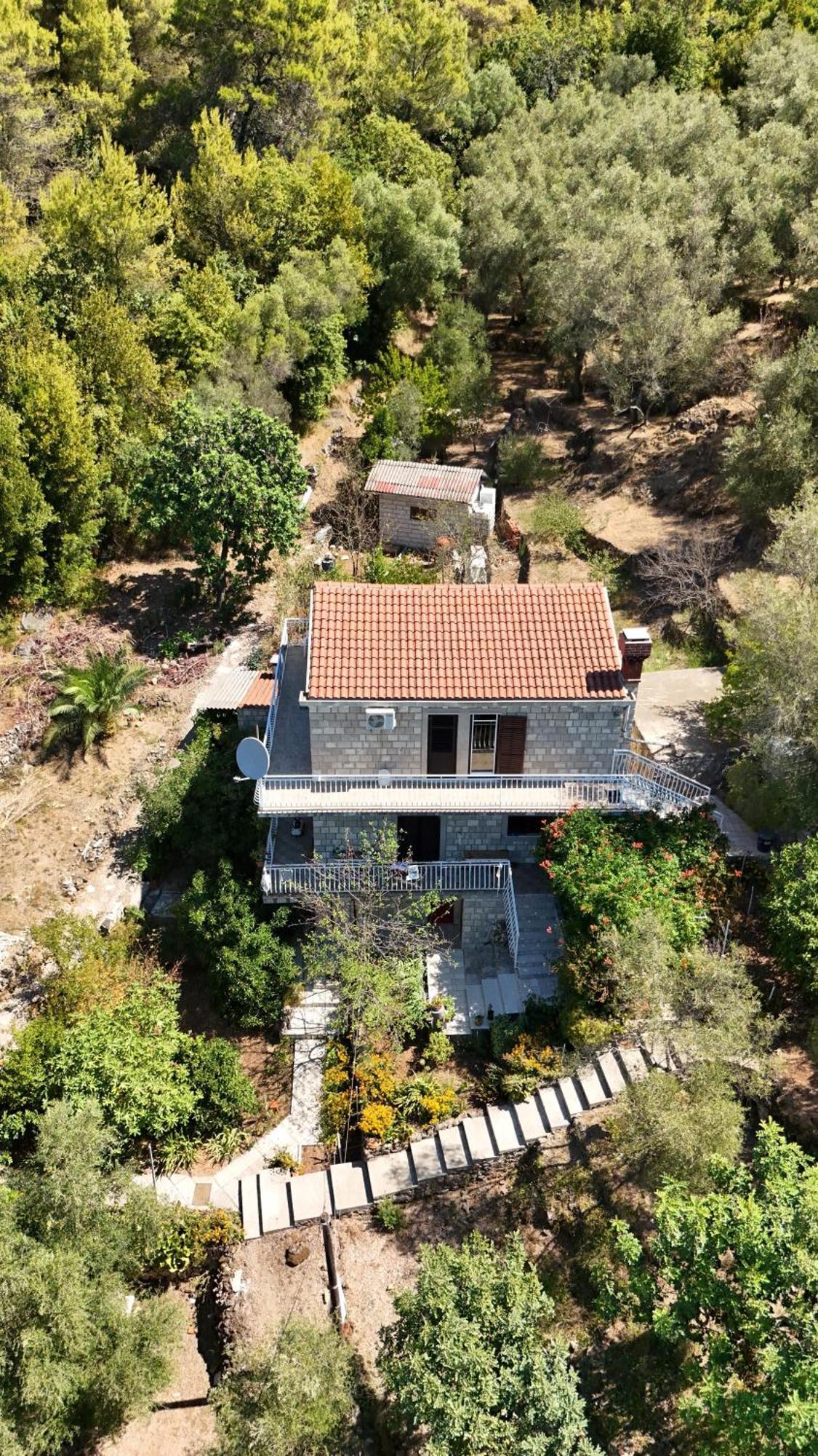 Apartment Kod Jadranke Šipanska Luka Εξωτερικό φωτογραφία