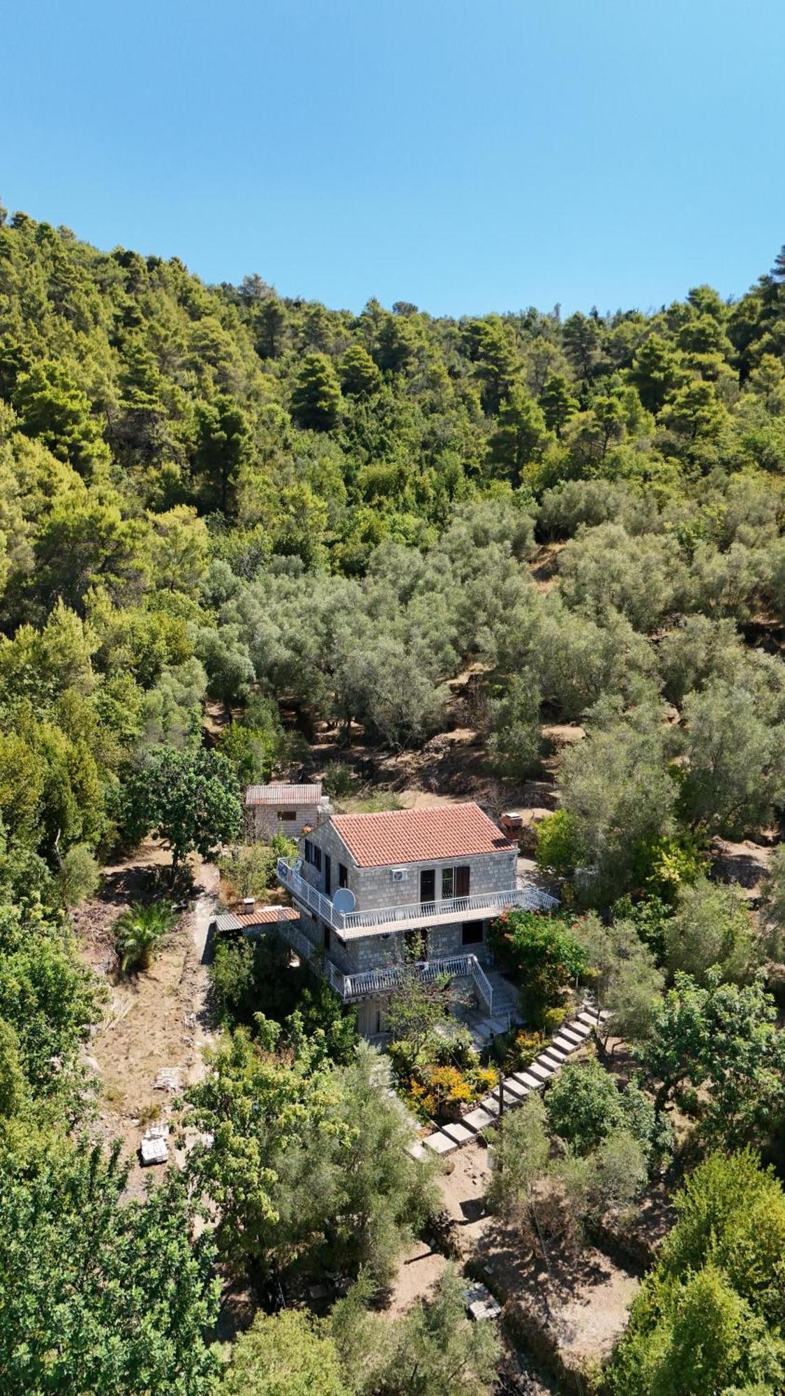 Apartment Kod Jadranke Šipanska Luka Εξωτερικό φωτογραφία