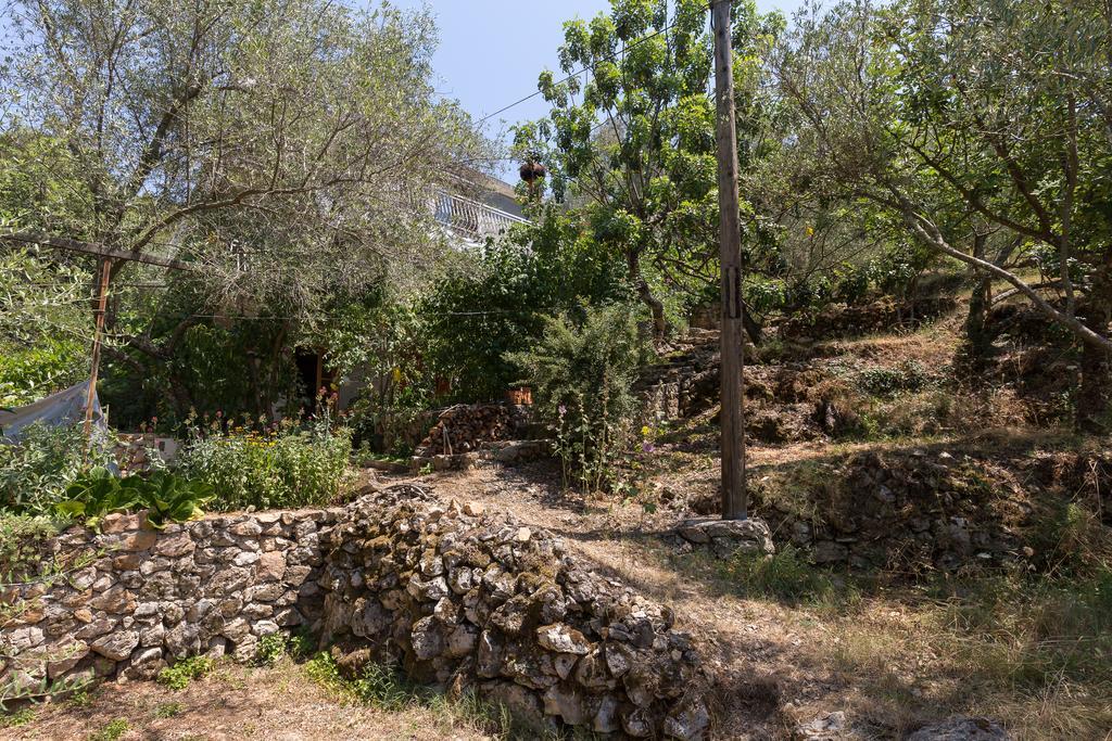 Apartment Kod Jadranke Šipanska Luka Εξωτερικό φωτογραφία
