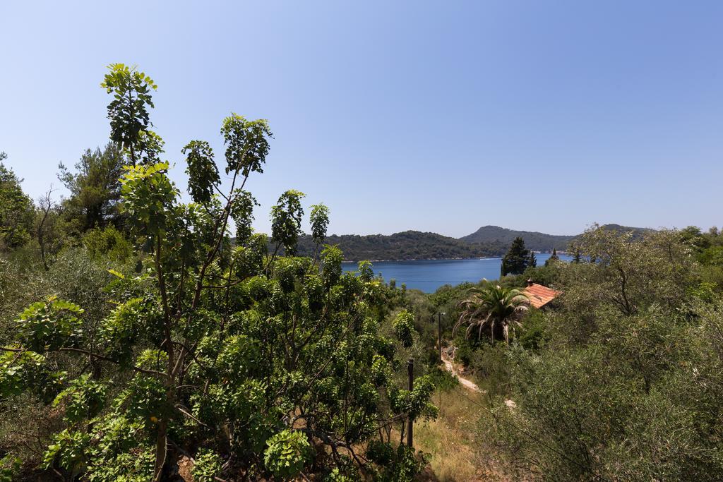 Apartment Kod Jadranke Šipanska Luka Εξωτερικό φωτογραφία